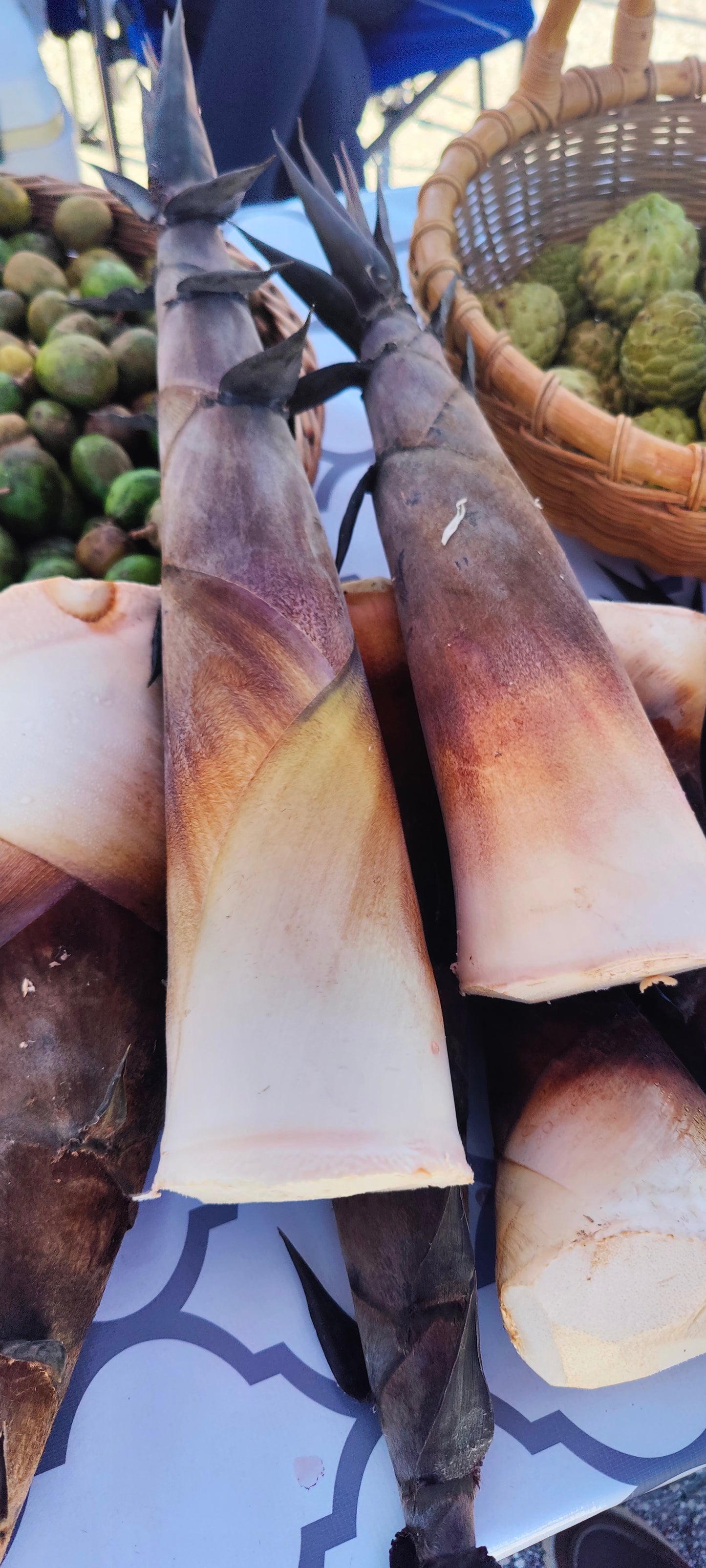 Fresh Florida Bamboo Shoots (Not In Season) until May 2025
