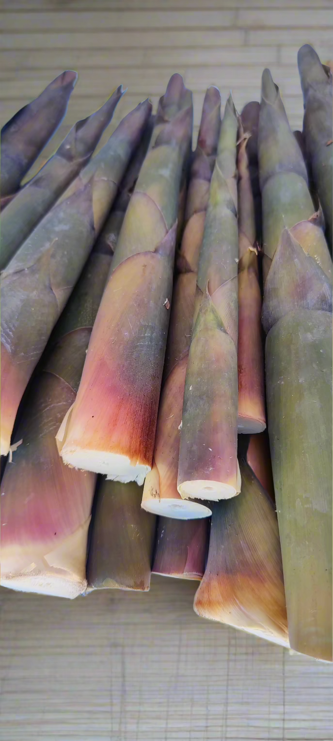 Bamboo Shoots