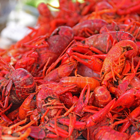 Louisiana Crawfish