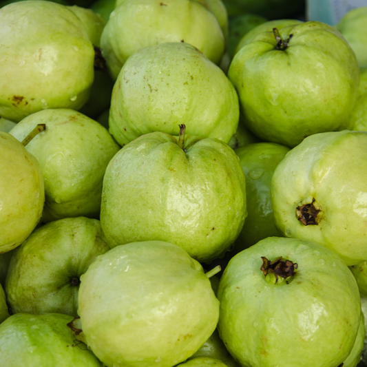 Florida-Grown Thai Guava (Mak Siidaa)