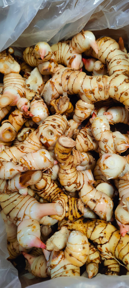 Florida Grown Fresh Galangal